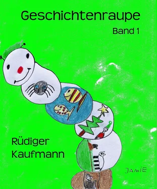 Rüdiger Kaufmann Geschichtenraupe обложка книги