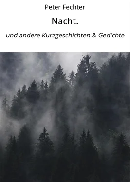 Peter Fechter Nacht. обложка книги
