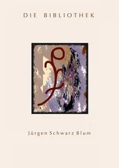 Jürgen Schwarz Blum - Die Bibliothek