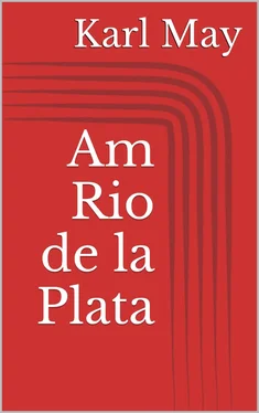 Karl May Am Rio de la Plata обложка книги