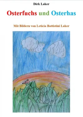 Dirk Laker Osterfuchs und Osterhas обложка книги