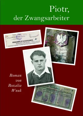 Rozalia Wnuk Piotr, der Zwangsarbeiter обложка книги