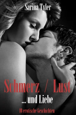 Sarina Tyler Schmerz, Lust … und Liebe обложка книги