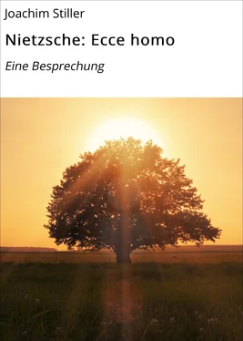 Joachim Stiller Nietzsche: Ecce homo обложка книги