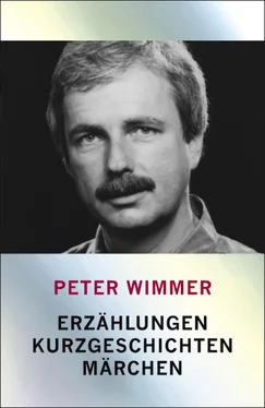 Peter Wimmer Erzählungen, Kurzgeschichten, Märchen обложка книги