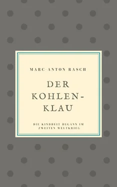Marc-Anton Rasch Der Kohlenklau обложка книги