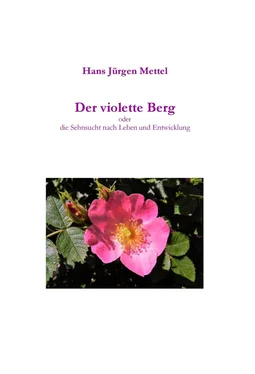 Hans Jürgen Mettel Der violette Berg обложка книги