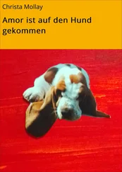 Christa Mollay - Amor ist auf den Hund gekommen