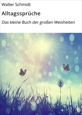 Walter Schmidt Alltagssprüche обложка книги