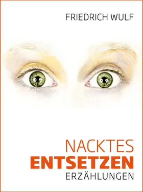 Friedrich Wulf Nacktes Entsetzen обложка книги