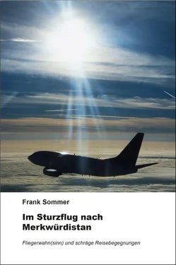 Frank Sommer Im Sturzflug nach Merkwürdistan обложка книги