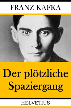 Franz Kafka Der plötzliche Spaziergang обложка книги