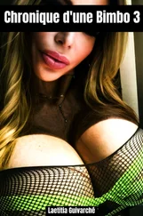 Laetitia Guivarché - Chronique d'une Bimbo 3