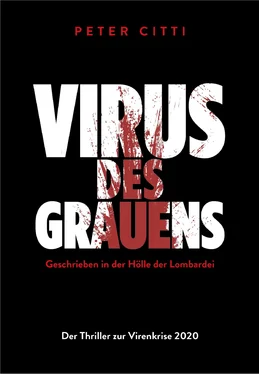 Peter Citti Virus des Grauens обложка книги