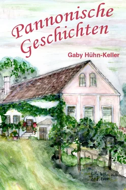 Gaby Hühn-Keller Pannonische Geschichten обложка книги