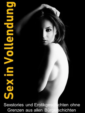 Kerstin Horn Sex in Vollendung - 116 Seiten обложка книги