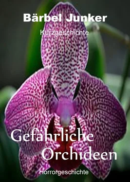 Bärbel Junker Gefährliche Orchideen обложка книги