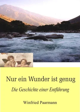 Winfried Paarmann Nur ein Wunder ist genug обложка книги