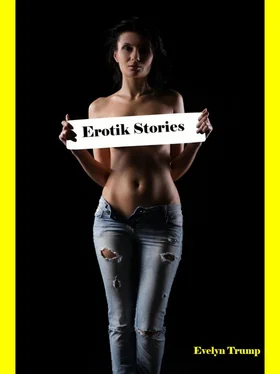 Evelyn Trump Erotik Stories обложка книги
