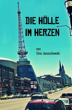 Timo Januschewski Die Hölle im Herzen обложка книги