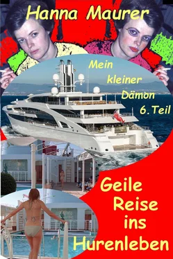 Hanna Maurer Mein kleiner Dämon - Geile Reise ins Hurenleben обложка книги