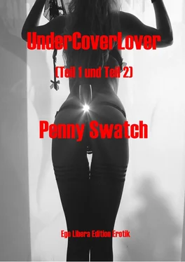 Penny Swatch UnderCoverLover Gesamtausgabe обложка книги