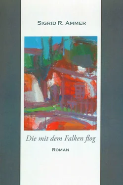 Sigrid R. Ammer Die mit dem Falken flog обложка книги