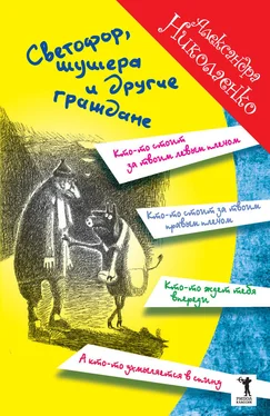 Александра Николаенко Светофор, шушера и другие граждане обложка книги