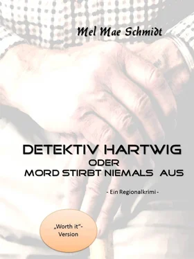 Mel Mae Schmidt Detektiv Hartwig обложка книги