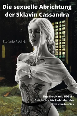 Stefanie P.A.I.N. Die sexuelle Abrichtung der Sklavin Cassandra обложка книги