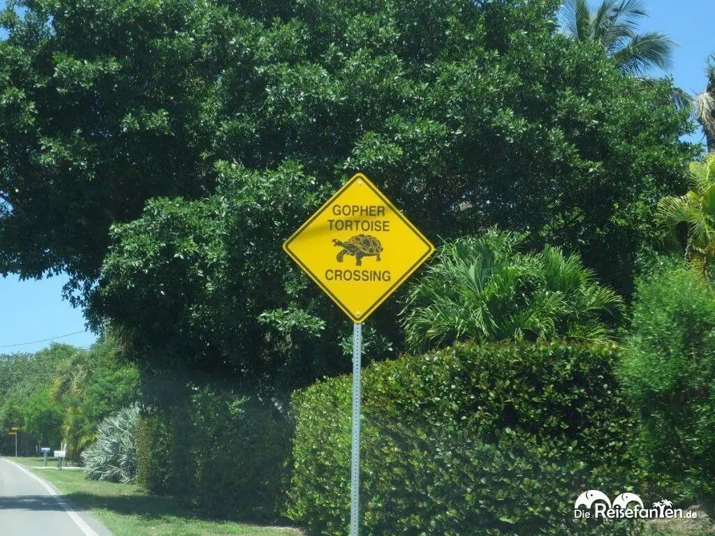 Parken in den USA Zu guter Letzt sei auch noch das Thema Parken angerissen - фото 1