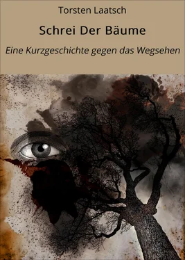 Torsten Laatsch Schrei Der Bäume обложка книги
