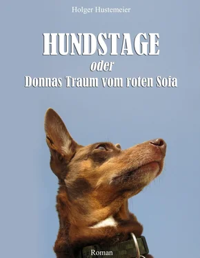 H. Hustemeier Hundstage oder Donnas Traum vom roten Sofa обложка книги