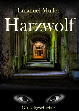 Emanuel Müller Harzwolf обложка книги