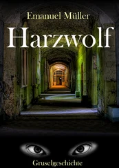Emanuel Müller - Harzwolf