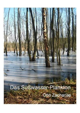 Otto Zacharias Das Süßwasserplankton обложка книги