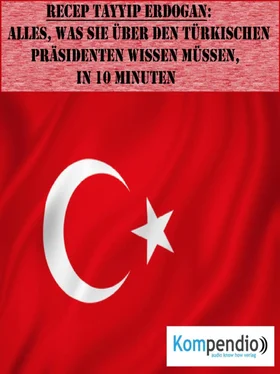 Alessandro Dallmann Recep Tayyip Erdogan (Biografie kompakt) обложка книги