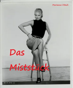Marianne Ditsch Das Miststück - erotischer Kurzroman обложка книги