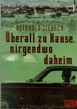 Reinhold Ziegler Überall zu Hause, nirgendwo daheim обложка книги