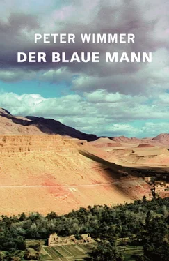 Peter Wimmer DER BLAUE MANN обложка книги
