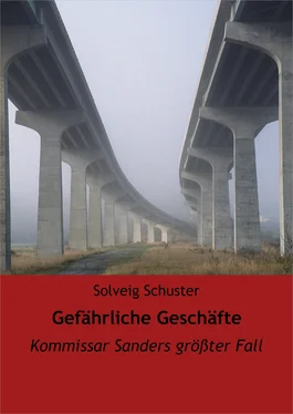 Solveig Schuster Gefährliche Geschäfte обложка книги