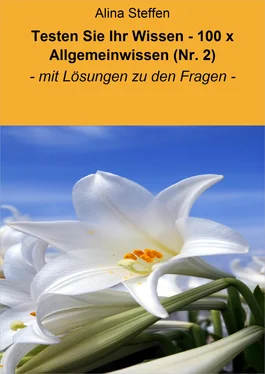 Alina Steffen Testen Sie Ihr Wissen - 100 x Allgemeinwissen (Nr. 2) обложка книги