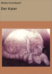 Mirko Krumbach - Der Kater
