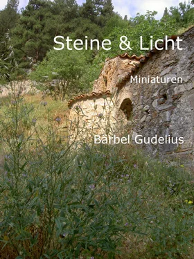 Bärbel Gudelius Steine und Licht обложка книги