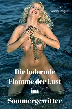 Jürgen Prommersberger Die lodernde Flamme der Lust im Sommergewitter обложка книги