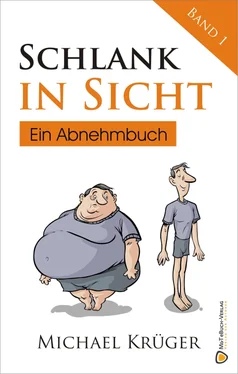 Michael Krüger Schlank in Sicht обложка книги