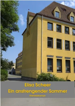 Elisa Scheer Ein anstrengender Sommer обложка книги