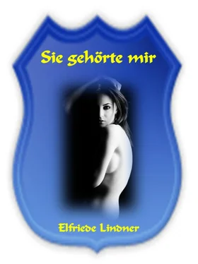 Elfriede Lindner Sie gehörte mir - 144 Seiten geile und spannende Erotikgeschichten обложка книги