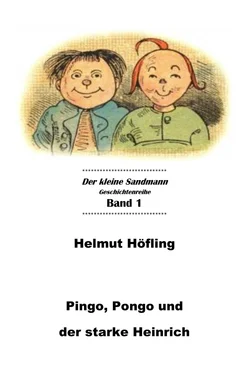 Helmut Höfling Pingo, Pongo und der starke Heinrich обложка книги