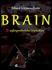 Erhard Schümmelfeder - BRAIN